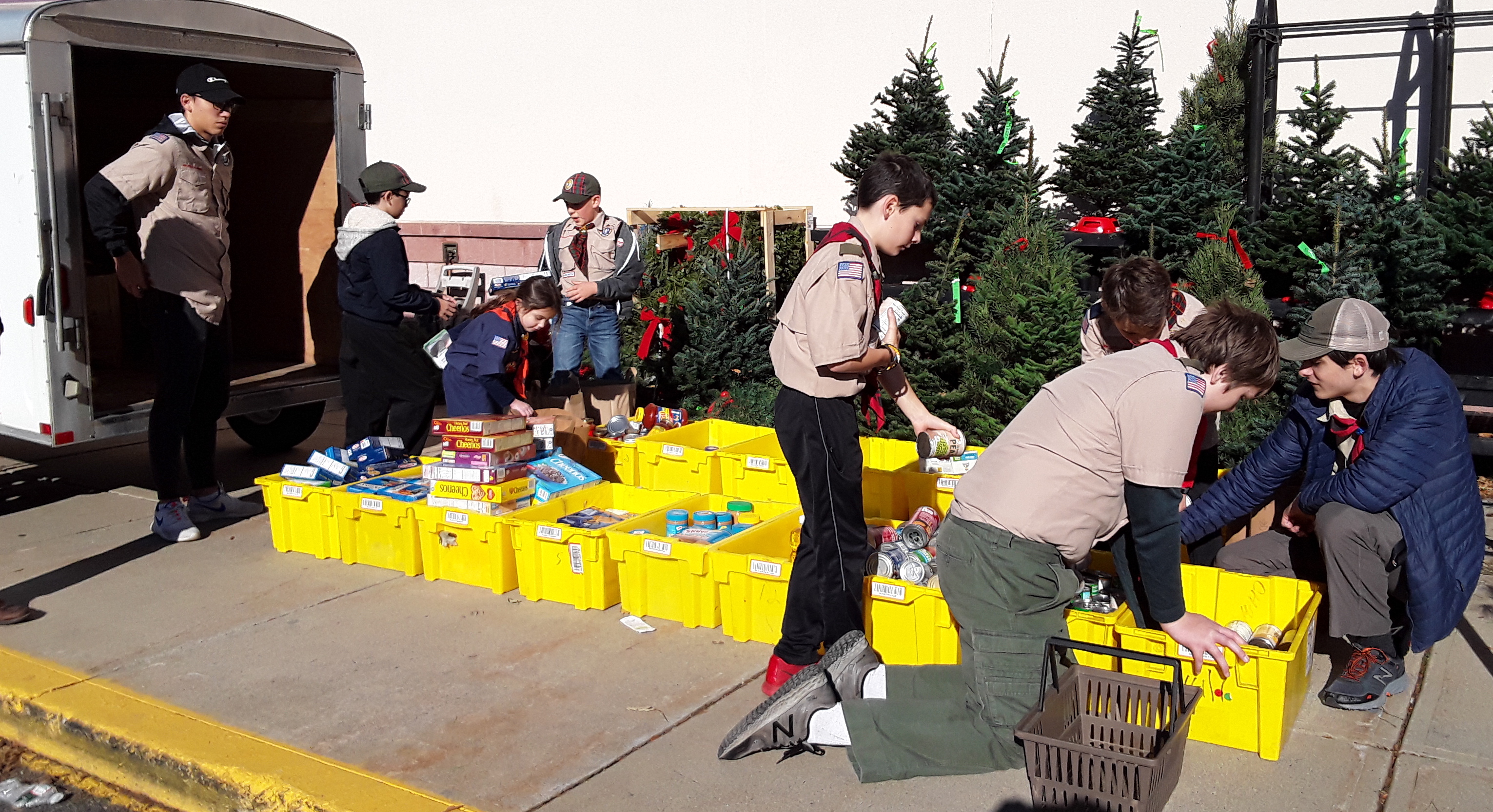 Scouts sorting food